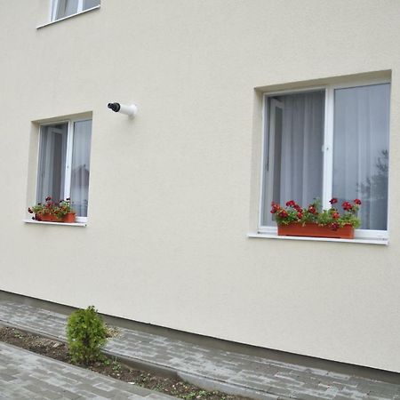Ana Cristina Apartament Сігішоара Екстер'єр фото