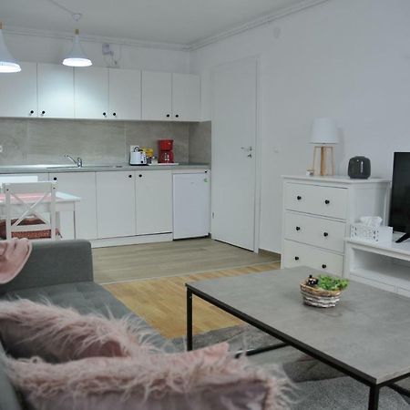 Ana Cristina Apartament Сігішоара Екстер'єр фото