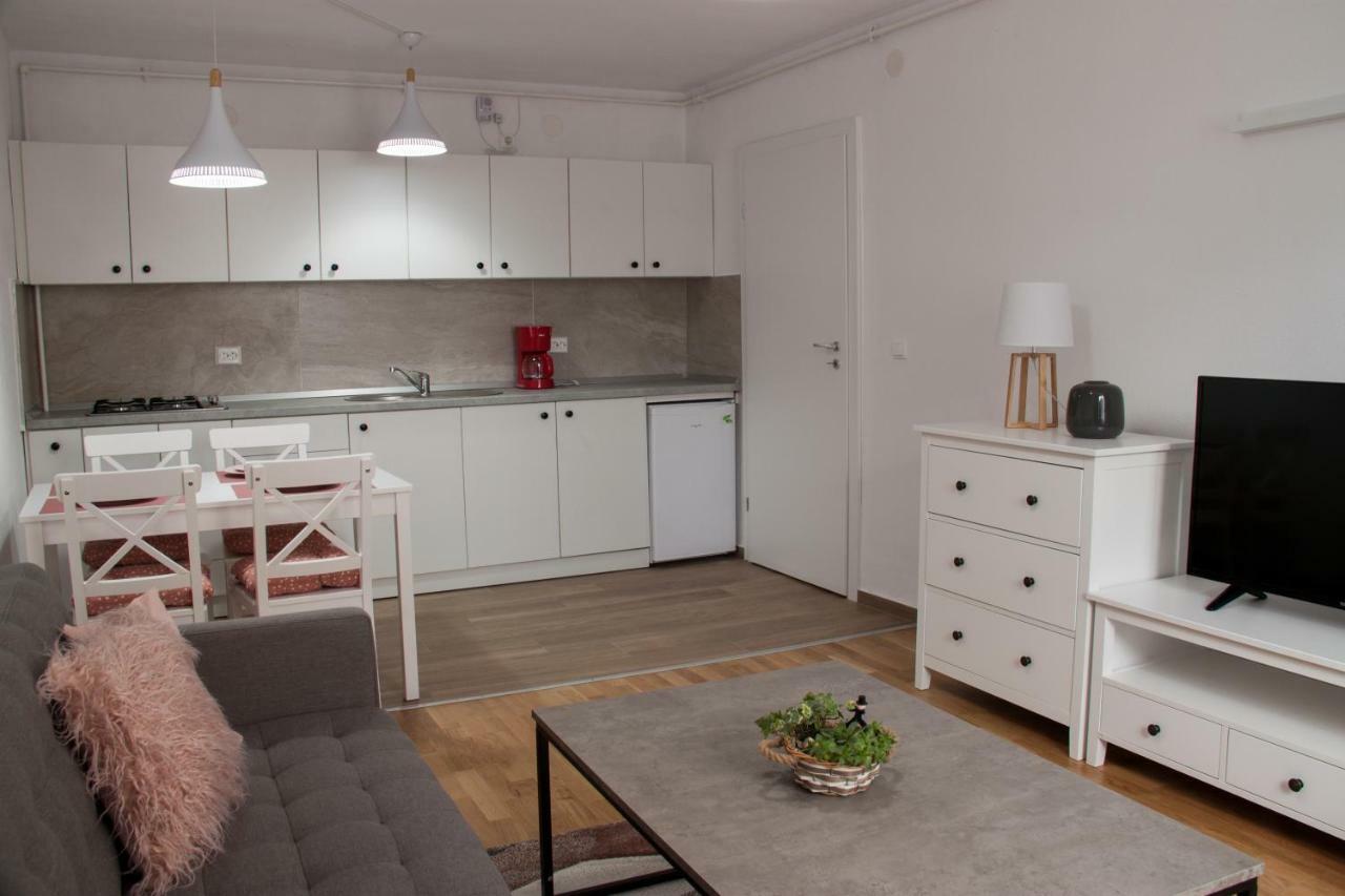 Ana Cristina Apartament Сігішоара Екстер'єр фото