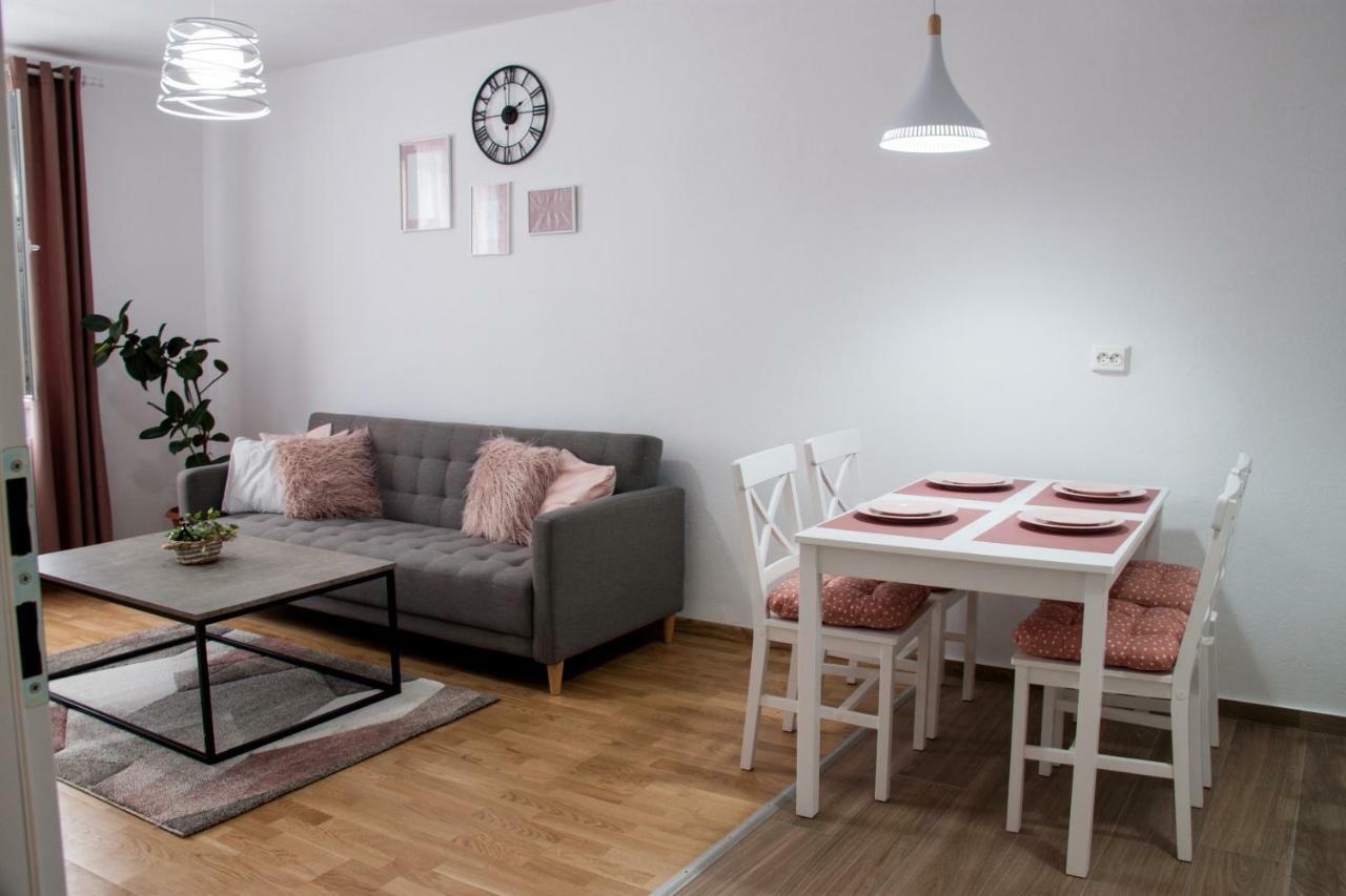 Ana Cristina Apartament Сігішоара Екстер'єр фото