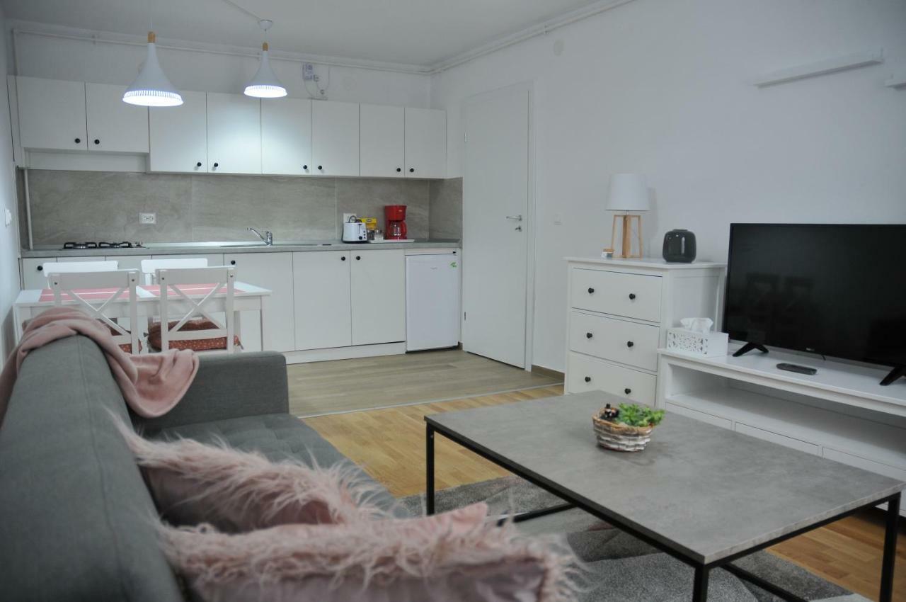 Ana Cristina Apartament Сігішоара Екстер'єр фото