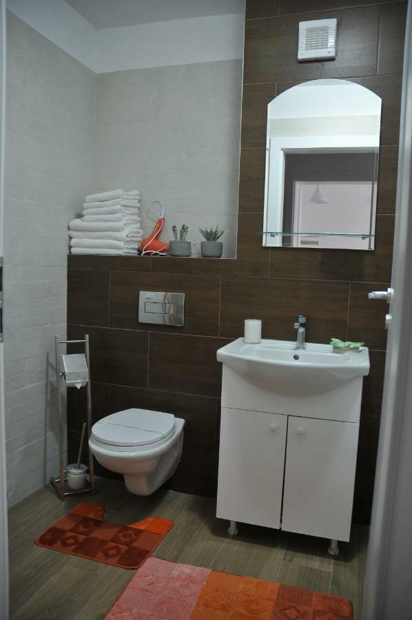 Ana Cristina Apartament Сігішоара Екстер'єр фото