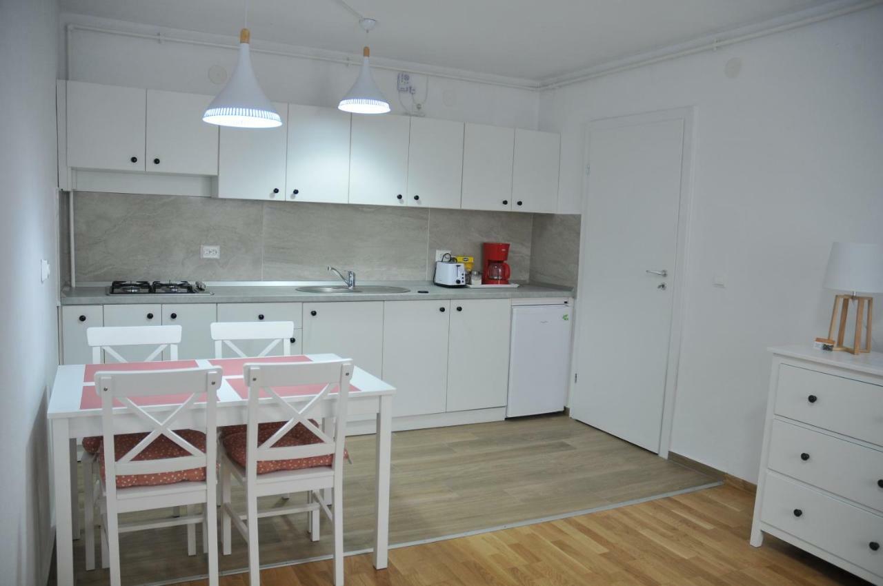 Ana Cristina Apartament Сігішоара Екстер'єр фото